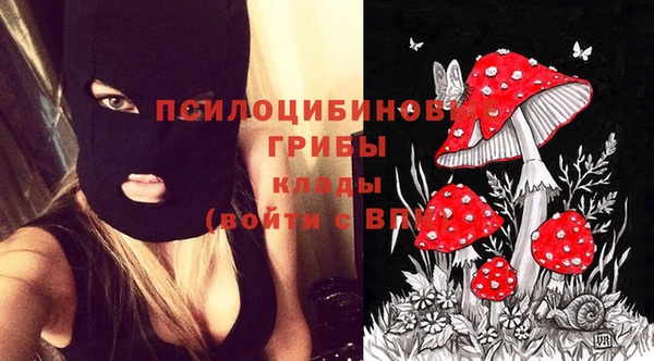 COCAINE Козельск