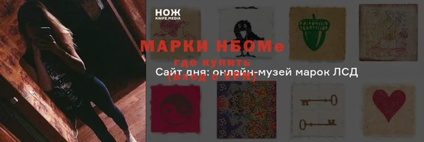 соль ск Козловка
