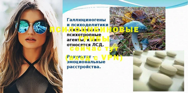 соль ск Козловка