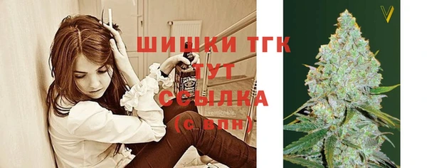 соль ск Козловка